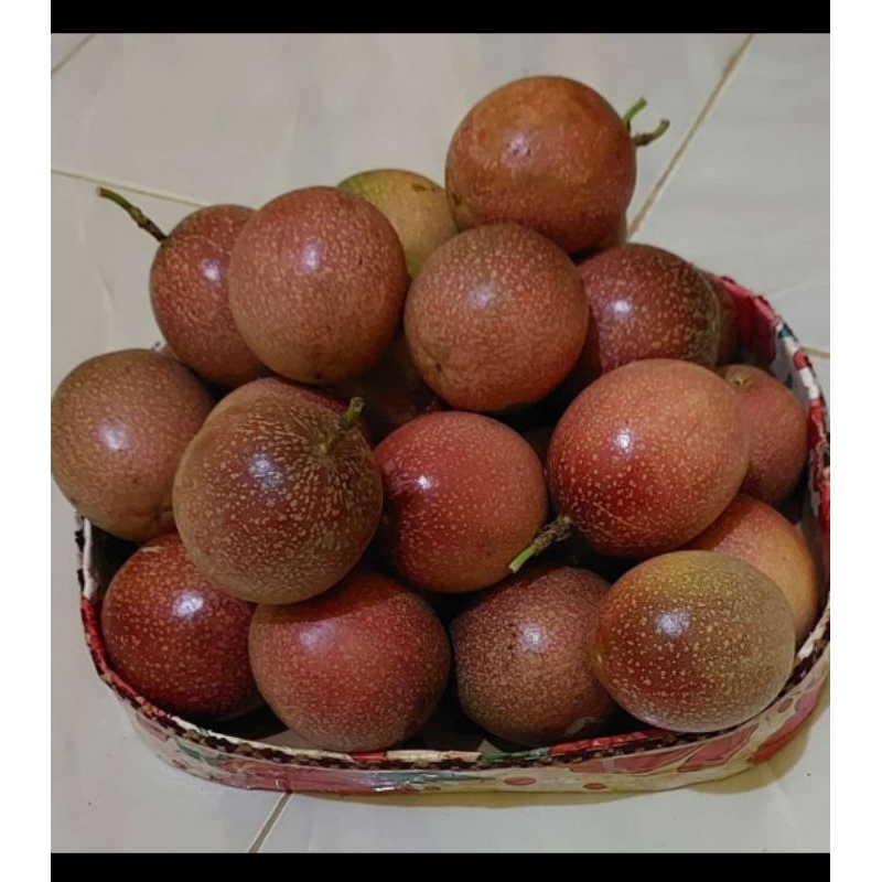 

BUAH MARKISA MERAH 1 Kg ASAM MANIS SEGAR