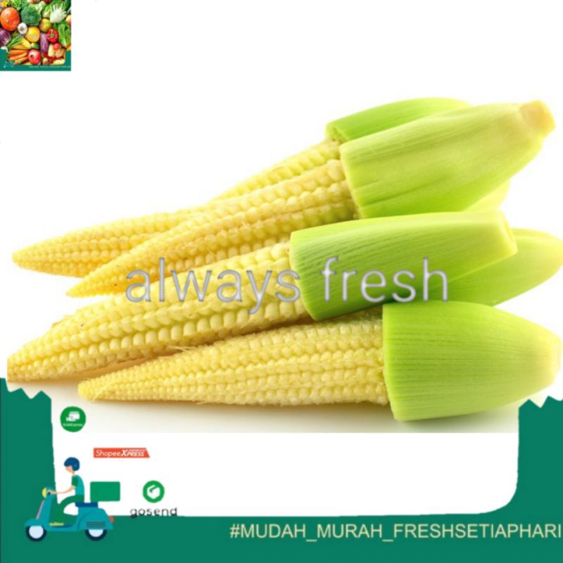 

jagung muda putren 100g - always fresh