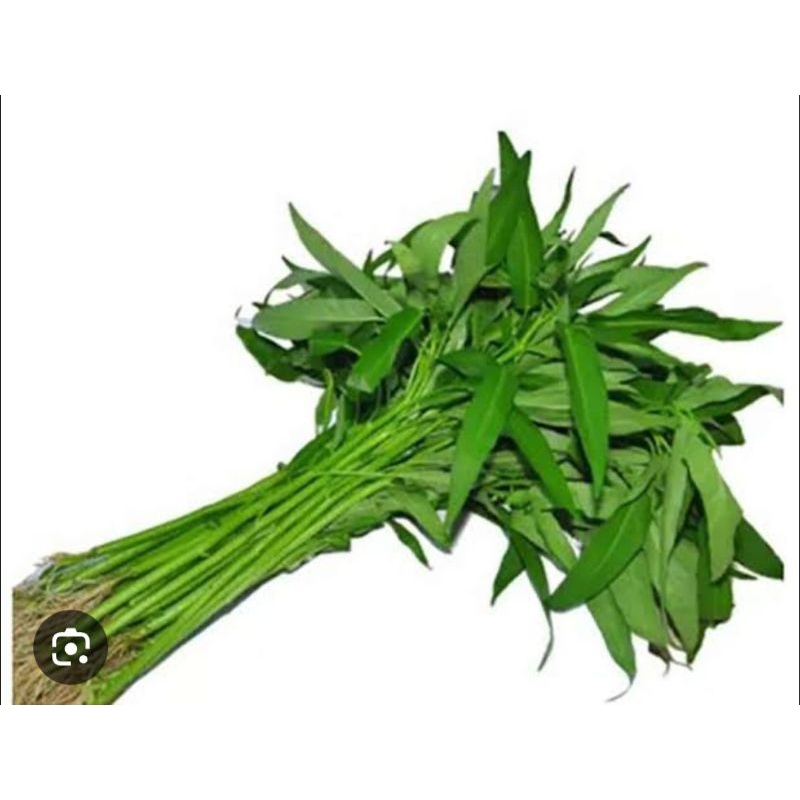 

sayur kangkung pilihan