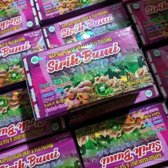 Obat Kesehatan Kapsul Sirih Bumi Pegal Linu Cikungunya Pengapuran Stroke Kecetit Flu Tulang