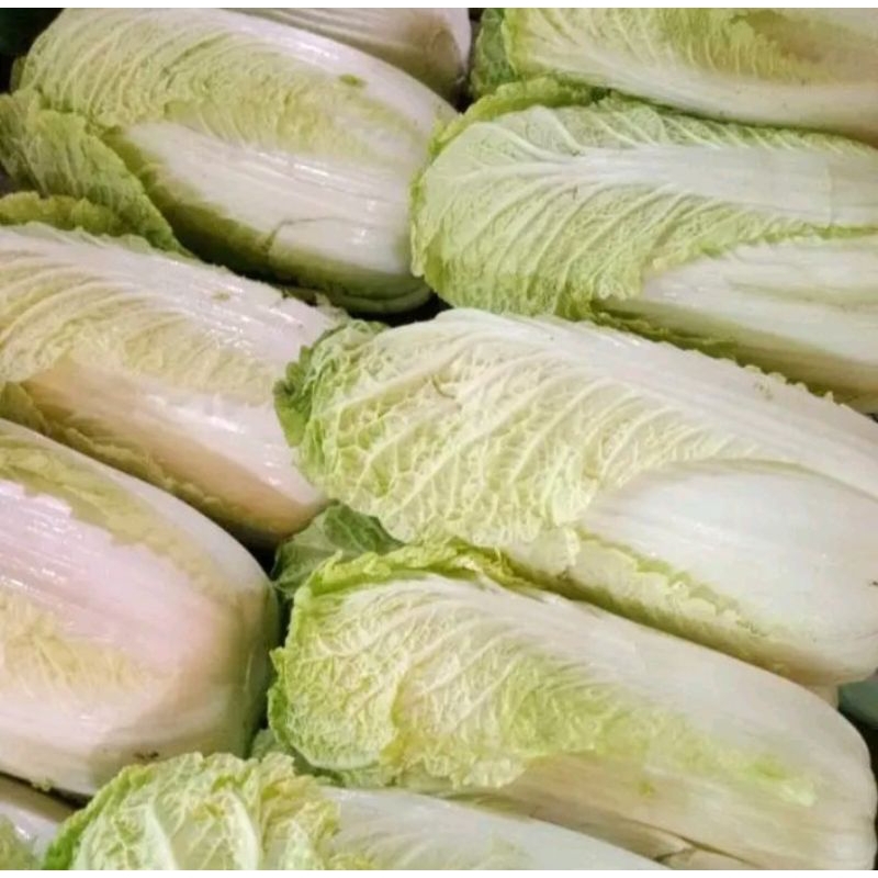 

Sawi Putih/Sayur sawi putih 500 gram
