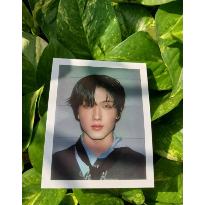 foto polaroid jisung NCT DREAM OFFICIAL