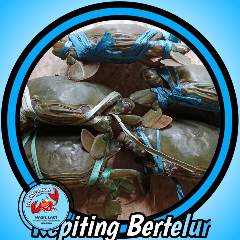 

KEPITING BERTELUR SEGAR 1kg