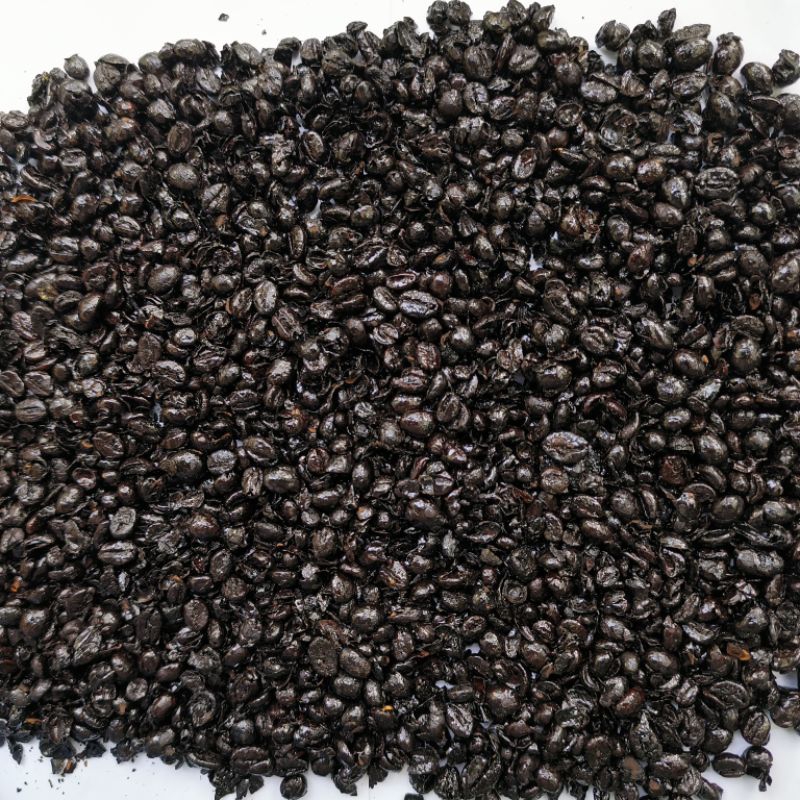 

kopi sidikalang biji robusta hitam