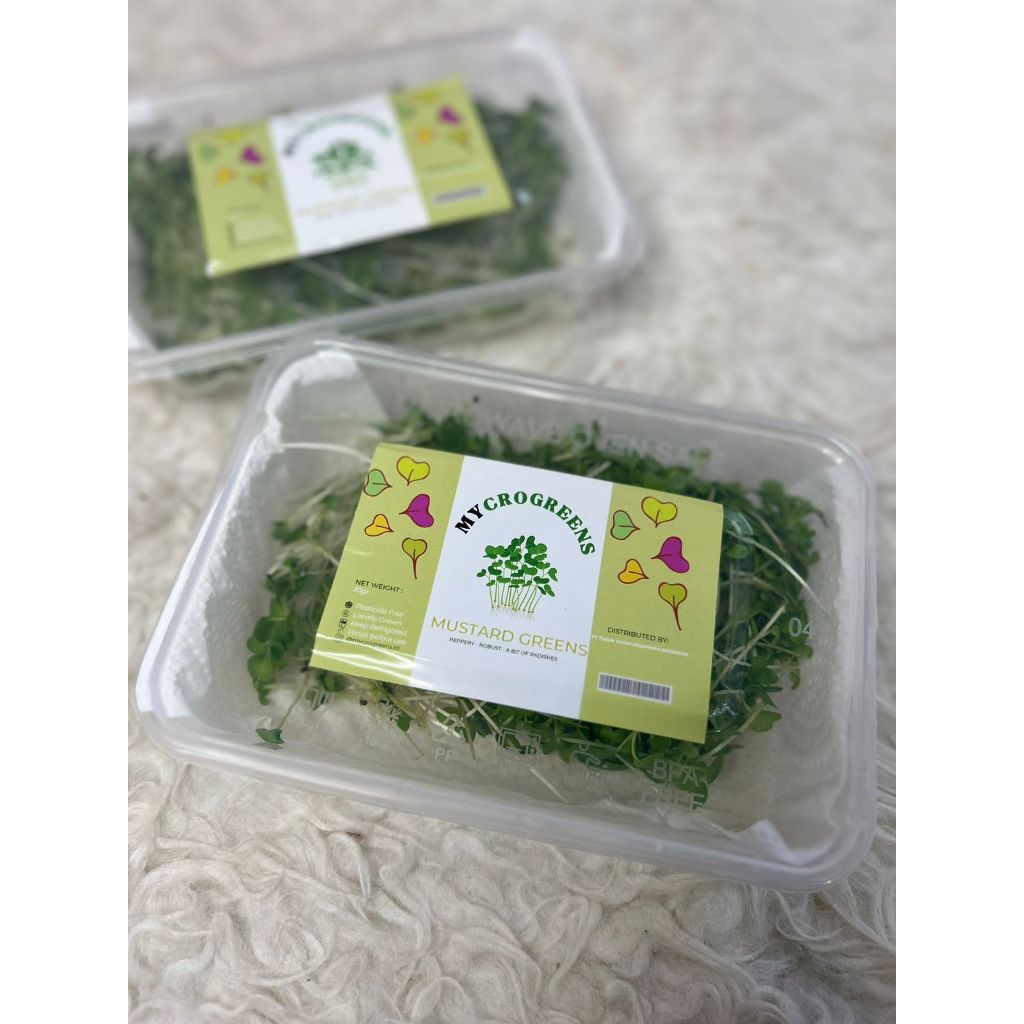 

Mustard Greens Microgreens