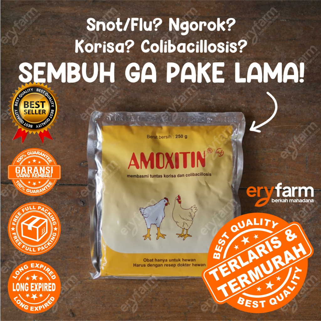 Amoxitin 250gr Medion obat korisa