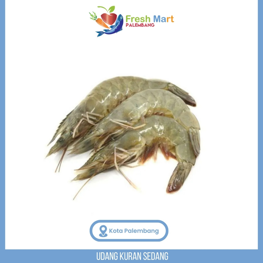 

Udang Ukuran Sedang-250Gram