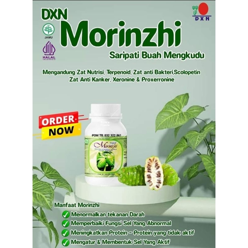 Dxn Morinzhi 90 kapsul