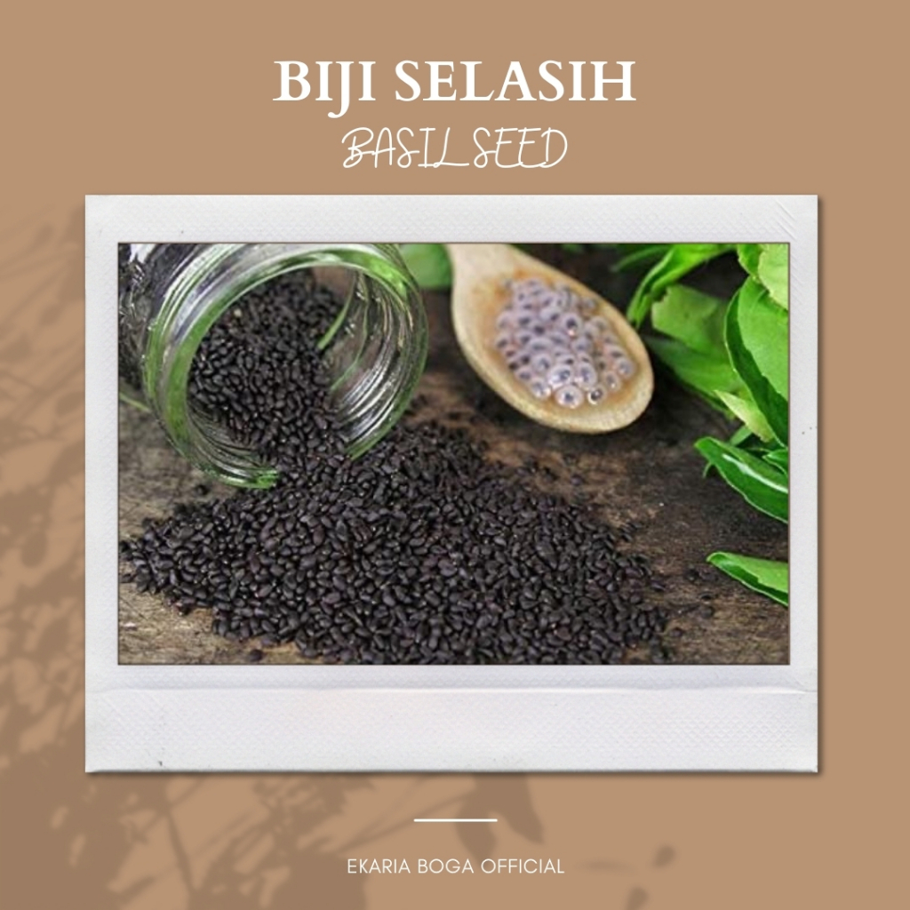 

KACANG / BIJI | BASIL SEED | BIJI SELASIH KERING | BIJI SELASIH 1KG