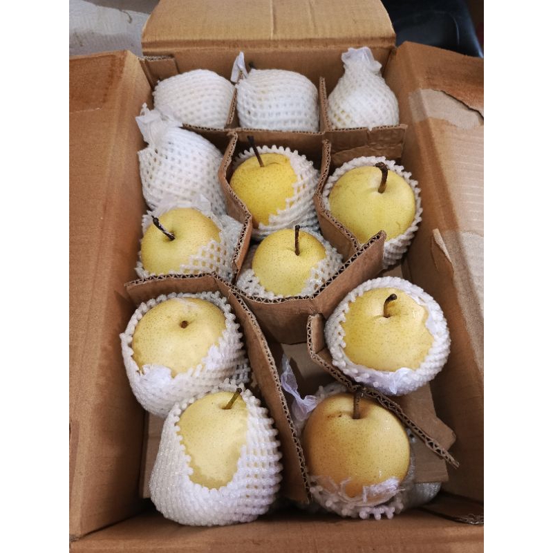 

ready pear century maniss harga 1 kg