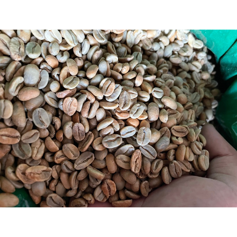 

GREEN BEAN KOPI ARABIKA ANAEROB KAWI