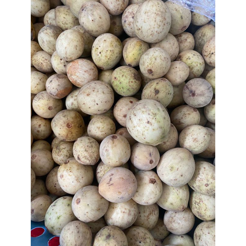 

Duku (Palembang/Lampung/Baduy)