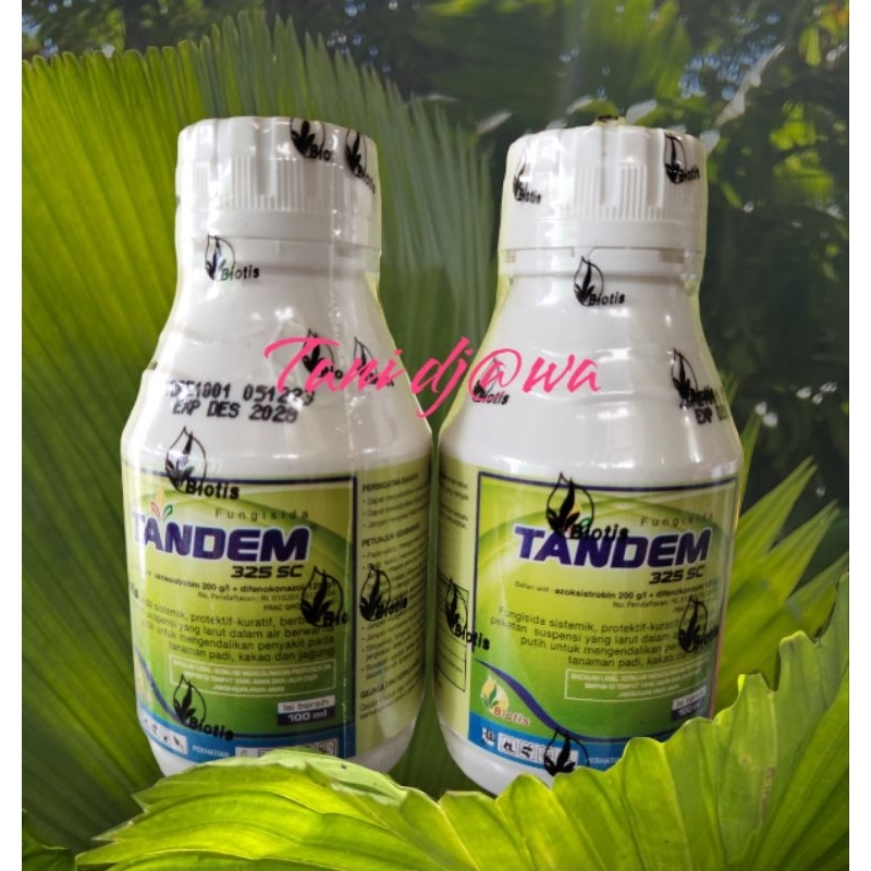 FUNGISIDA TANDEM 100 ml