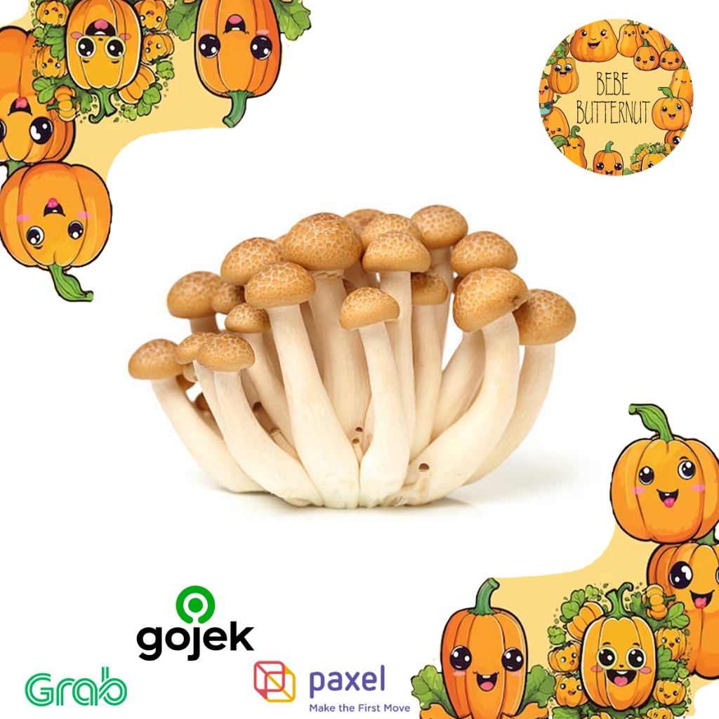 

jamur shimeji coklat/brown shimeji /1pack/150gr
