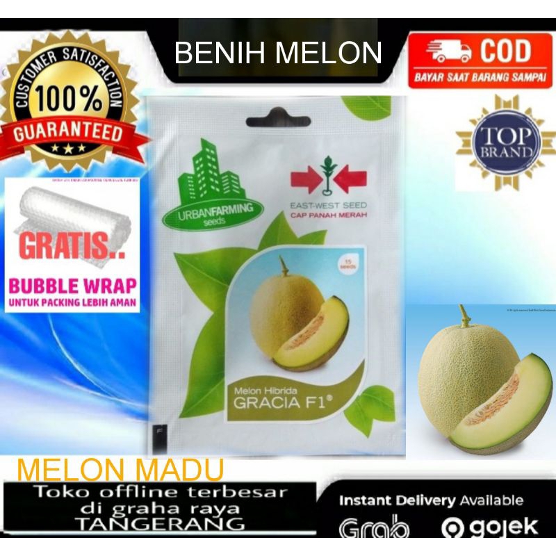Benih Bibit Melon Madu Cap Panah Merah Hibrida F1 Isi 15 Biji Siap Tanam