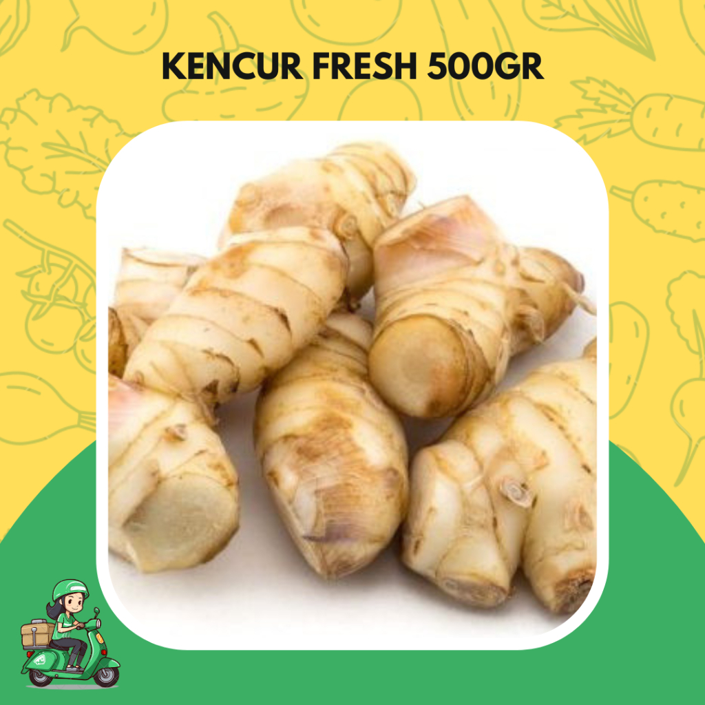 

kencur fresh 500gr segar