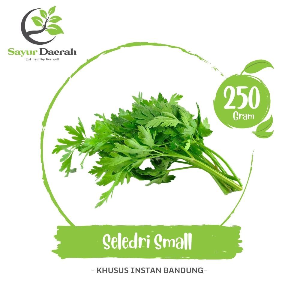 

Seledri Small 250 Gr | Sayur Daerah