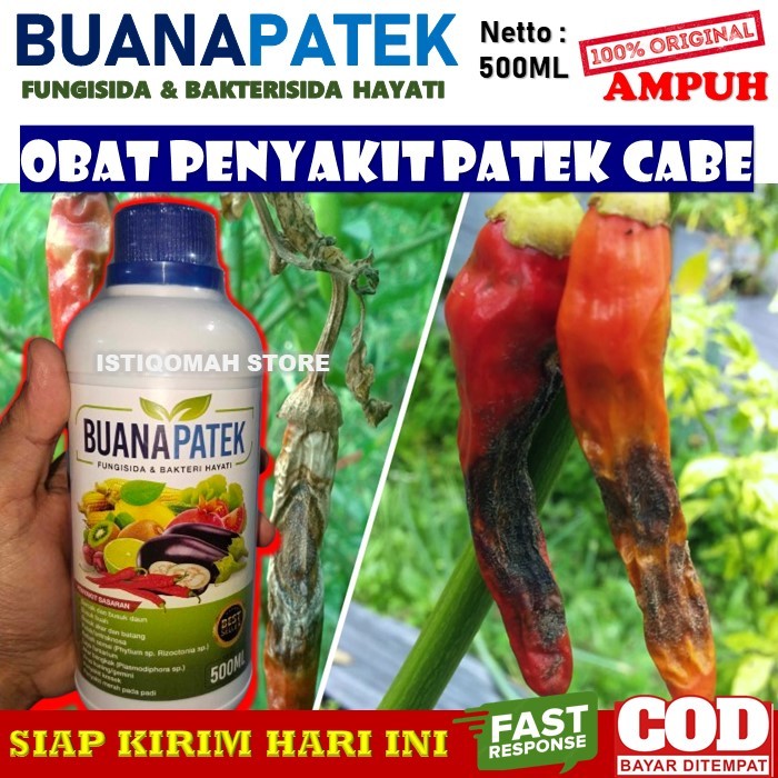 Obat Patek Cabe Paling Ampuh BUANAPATEK 500ML Fungisida & Bakterisida Hayati Pupuk Obat Semprot Caba