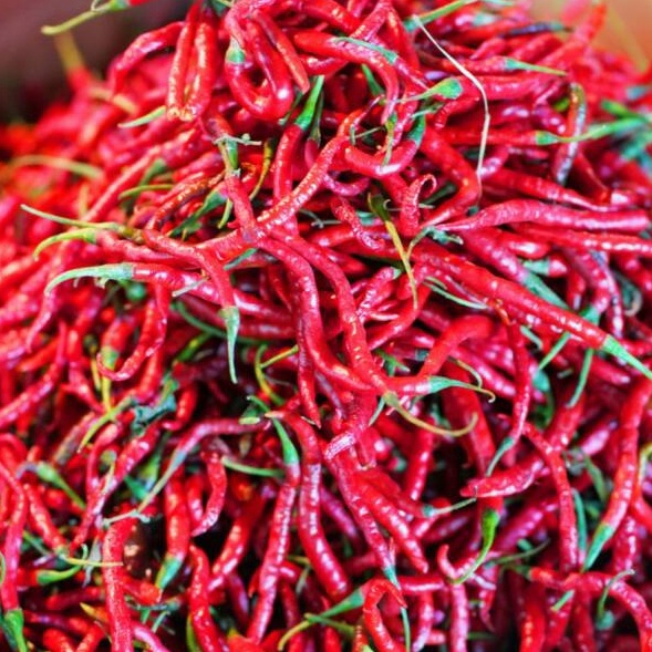 

Free Ongkir Cabe Cabai Merah Keriting 5 gr