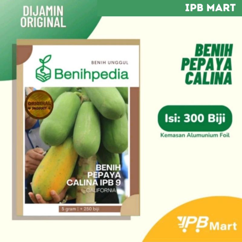 Benih Pepaya Calina Ipb 9 / California 5 Gram