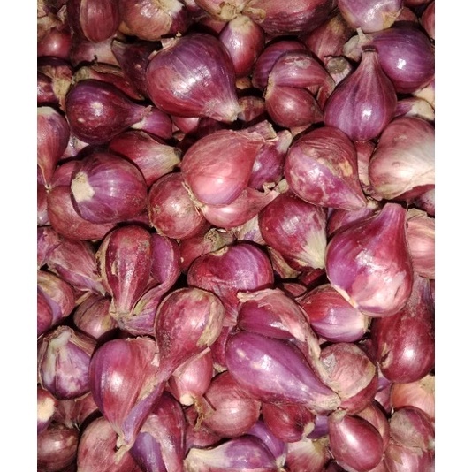 

Stok terbaru BAWANG MERAH BREBES ASLI SUPER 1kg