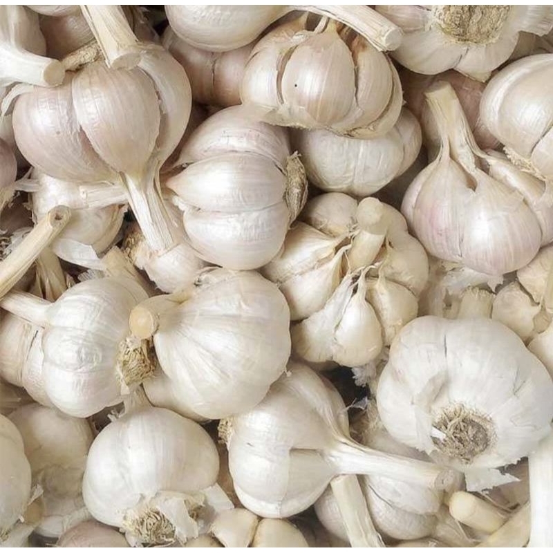 

Bawang putih bersih 1 kg