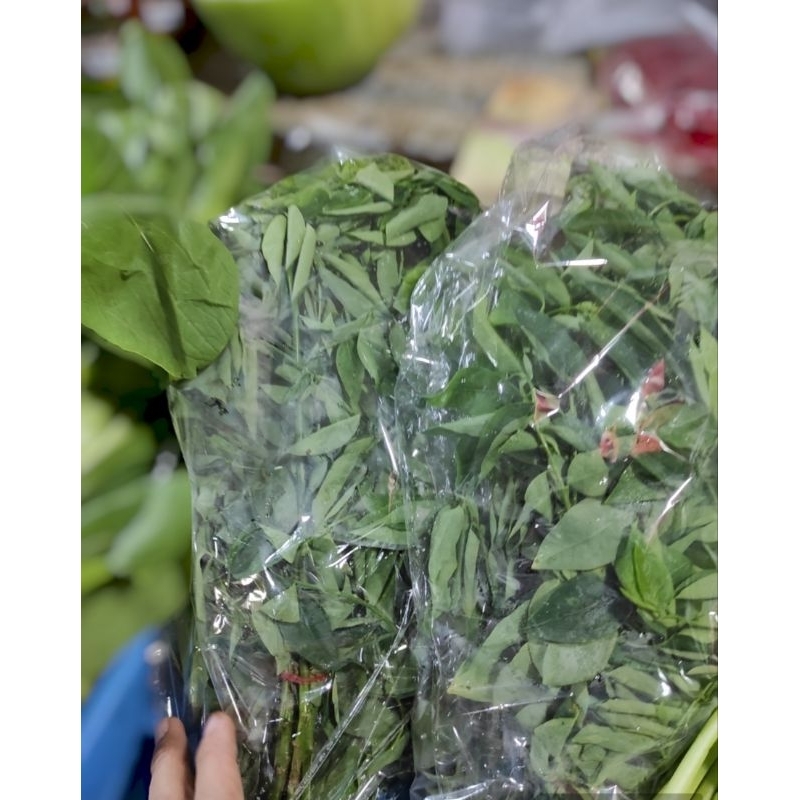 

SAYUR KATUK ORGANIK PER PACK / JAMIN SEGAR