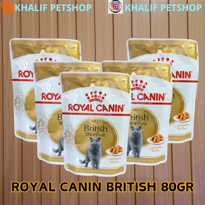 ROYAL CANIN BRITISH SHORTHAIR 85GRAM | RC POUCH BRITISH POUCH ADULT 85 GRAM MAKANAN BASAH KUCING ROYAL CANIN SACHET