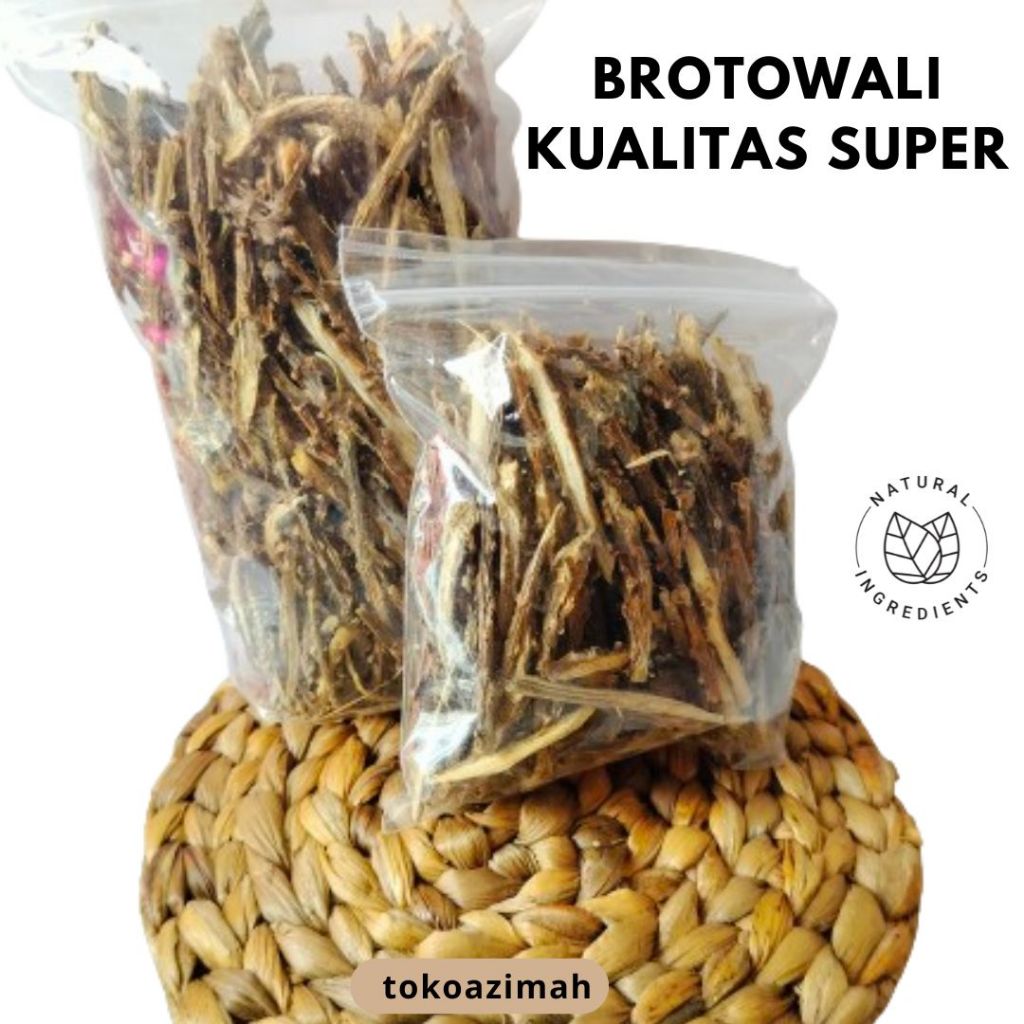 

Brotowali Kering
