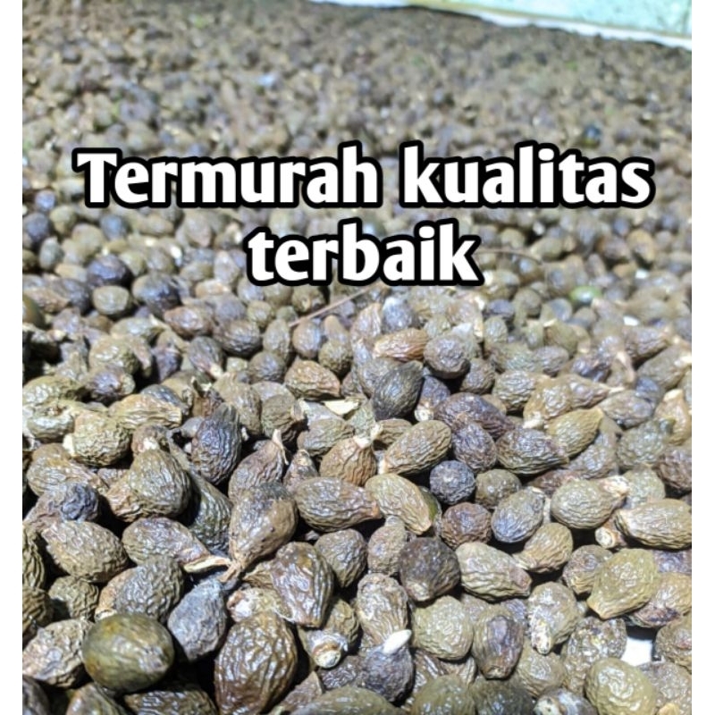 

Buah Tempayang 1kg