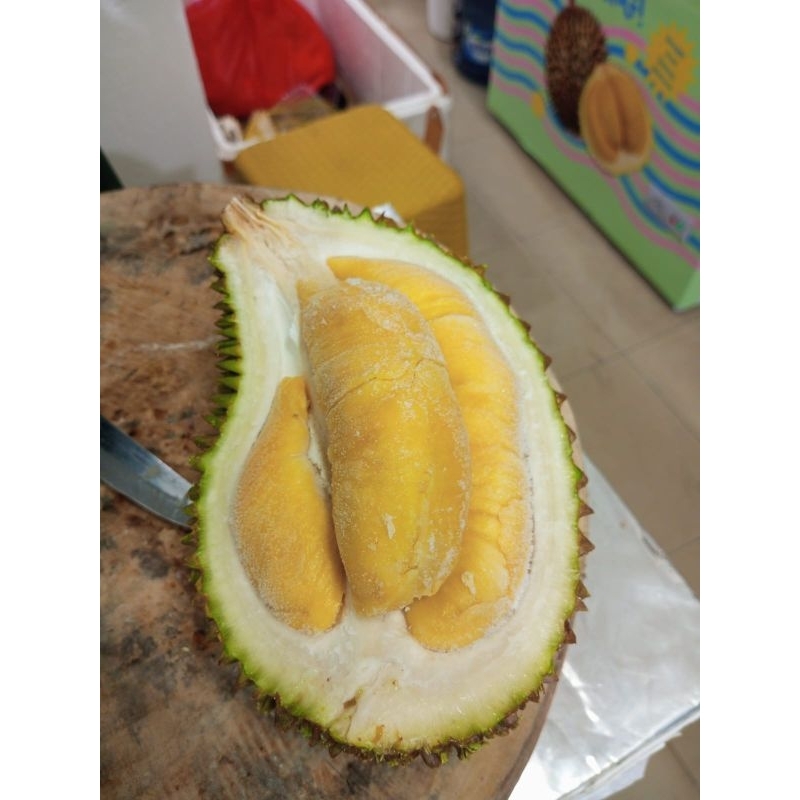 

Durian Musangking Nitrogen/Durian Musangking Frozen 1kg