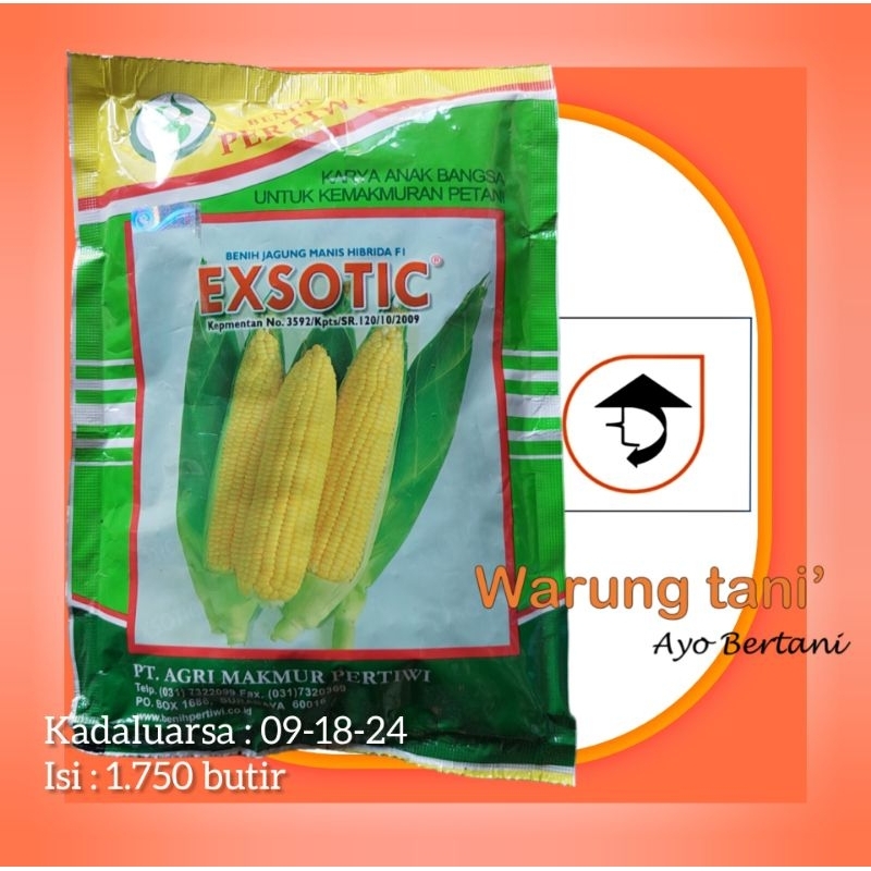 Benih jagung manis EXSOTIC