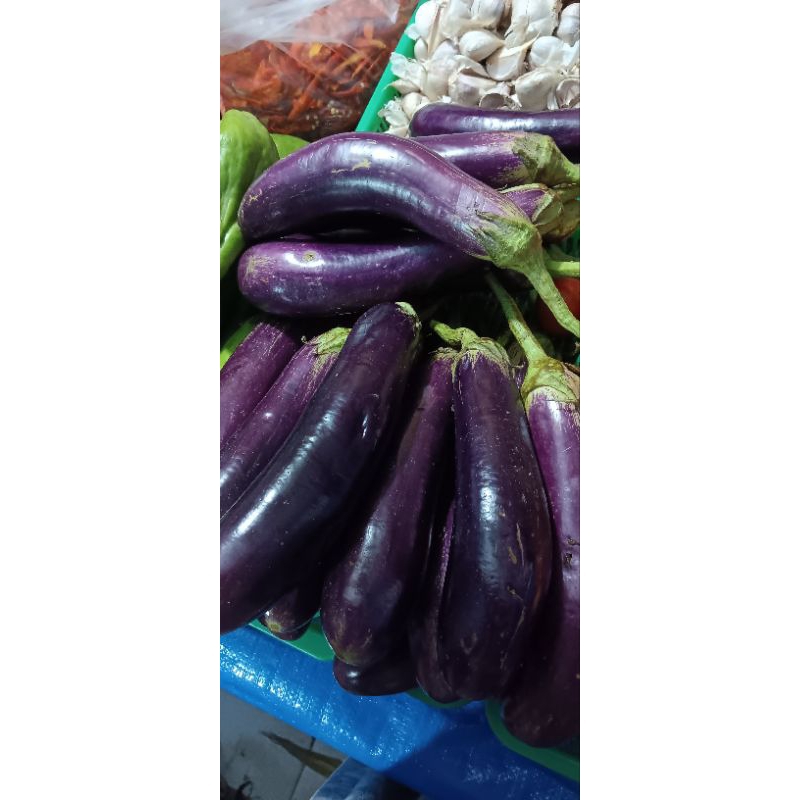 

terong ungu fresh 500 gr