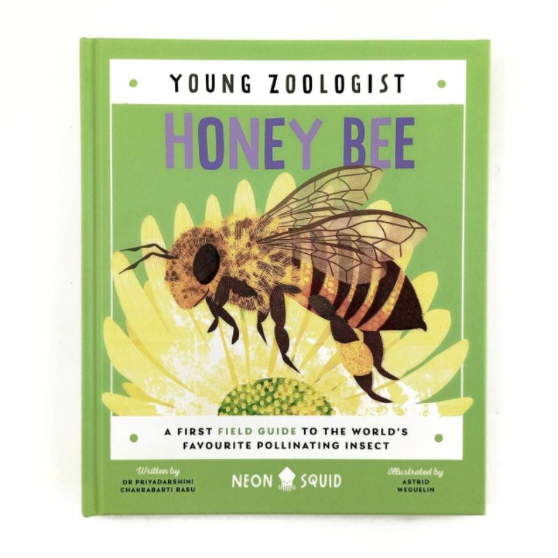 Neon Squid Young Zoologist Honey Bee A First Field Guide to the World’s Favourite Pollinating Insect