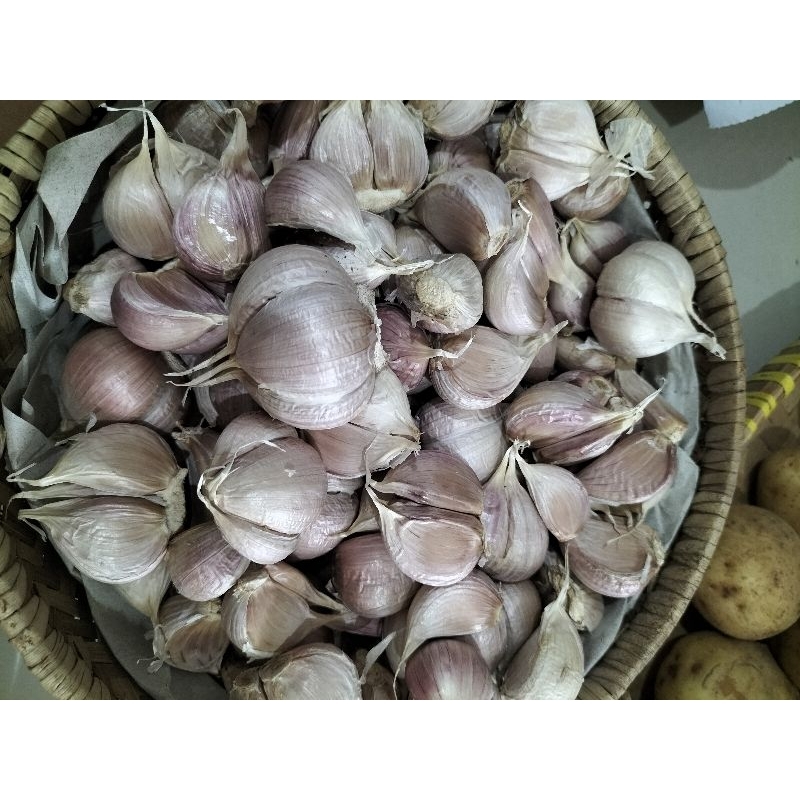 

Bawang Putih Kating