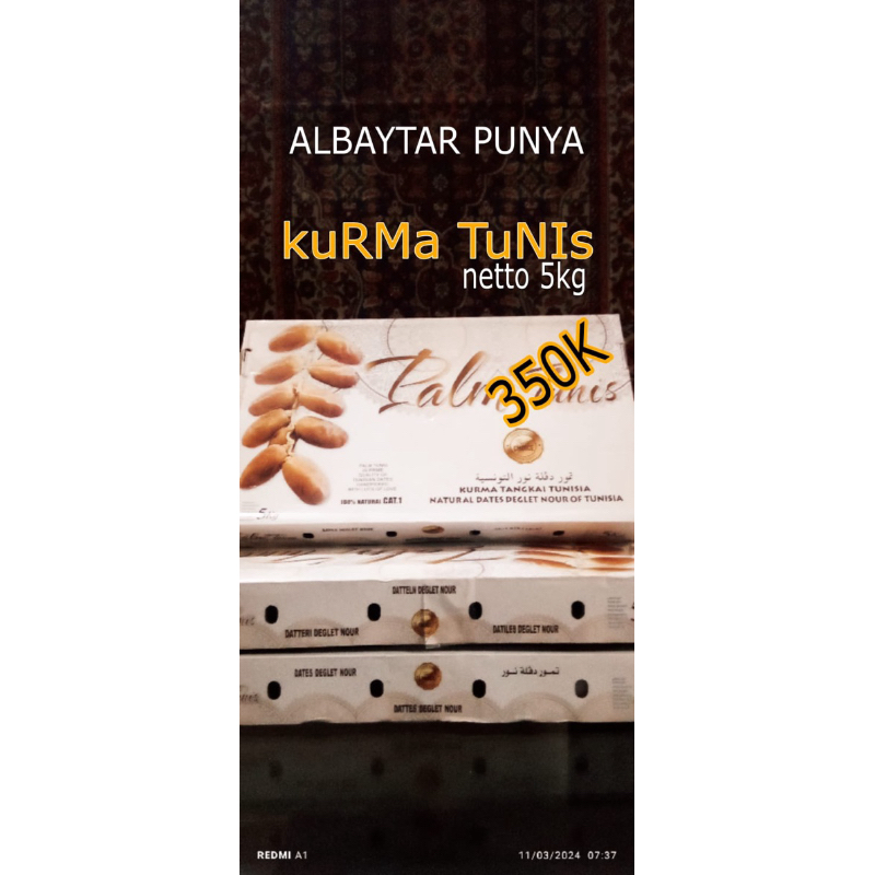 

kurma tunis palm tunis