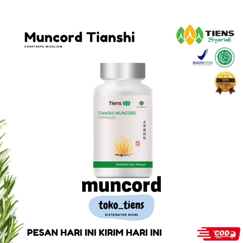 MUNCORD TIANSHI [CORDYSEPSMYCELLIUM)
