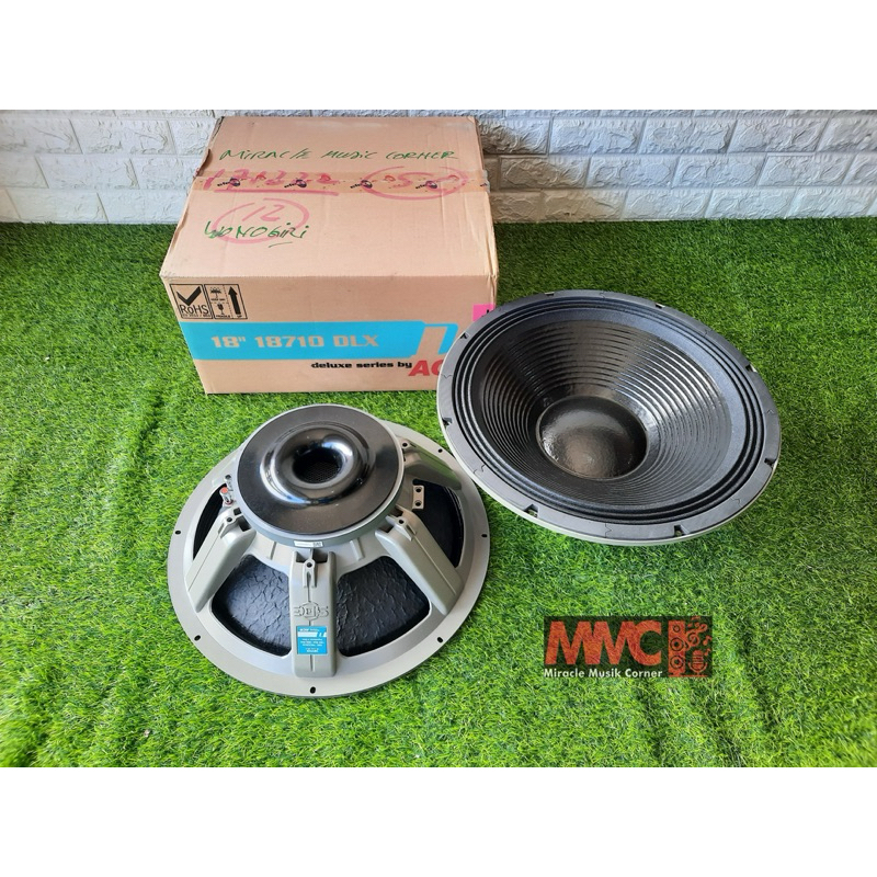 SPEAKER ACR 18 INCH DELUXE 18710