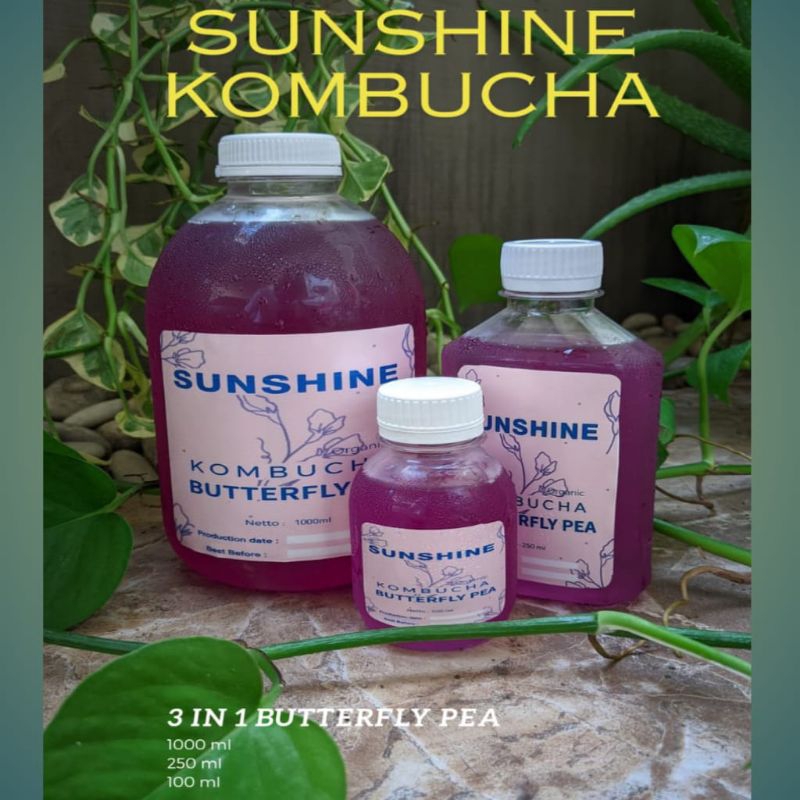 

Sunshine Kombucha Butterfly pea paket family (1000ml, 250ml,100ml).