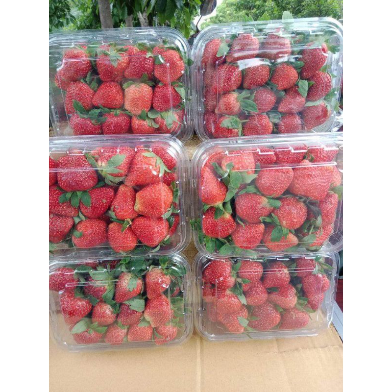 

Strawberry fresh Ciwidey