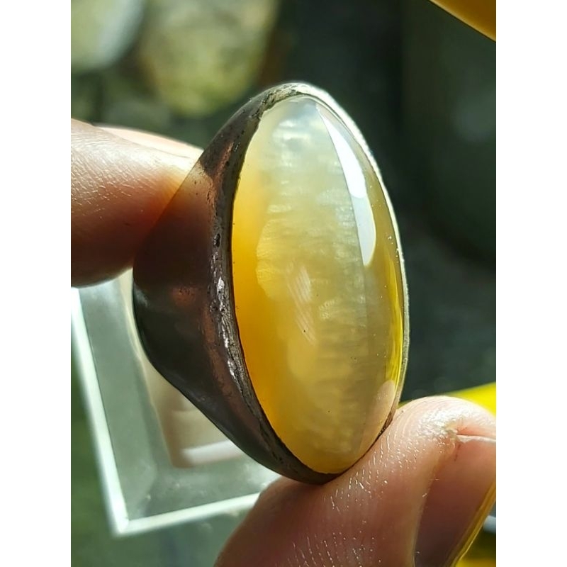 Pandan Nanas Betok - Cincin Batu Akik