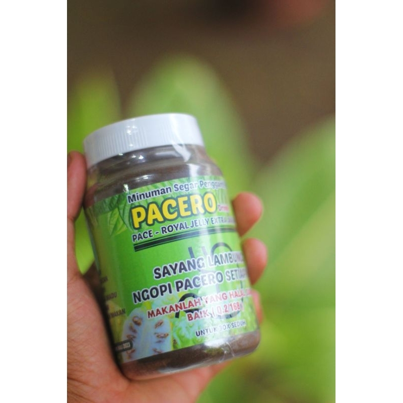 

minuman lambung pacero