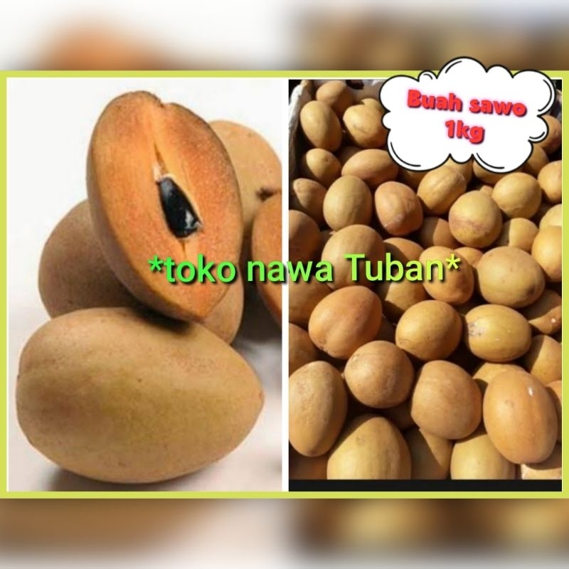 

buah sawo 1kg sawo perkilo manis
