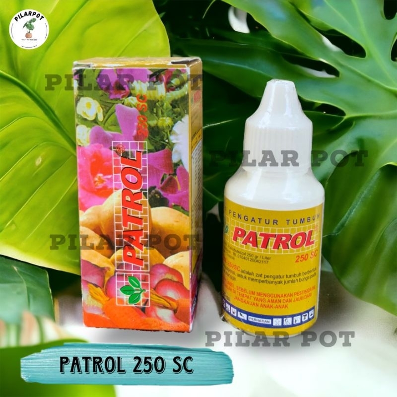 PATROL 250 SC 25 ML ZPT ZAT PENGATUR TUMBUH - PATROL 25 ML KECIL