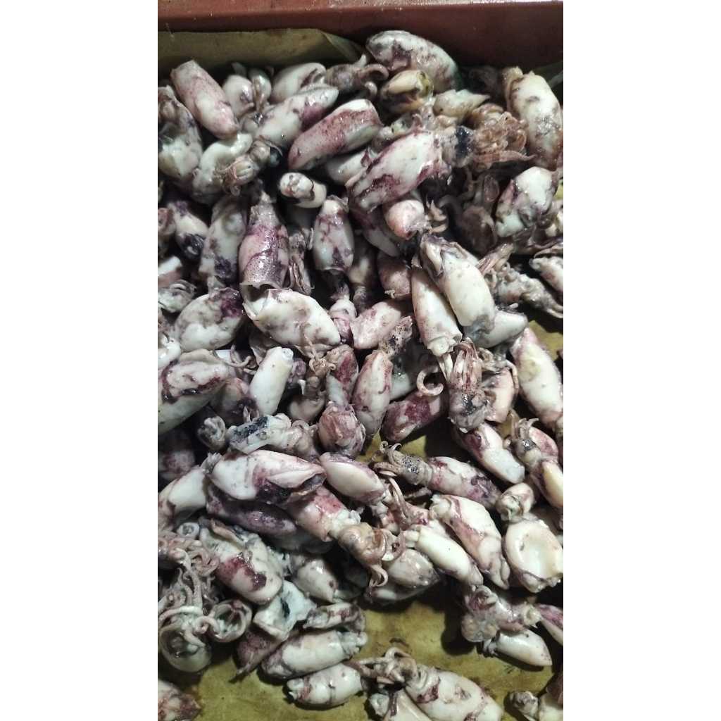 

IKAN ASIN CUMI UKURAN KECIL PER 100 GR - IKAN ASIN - CUMI ASIN