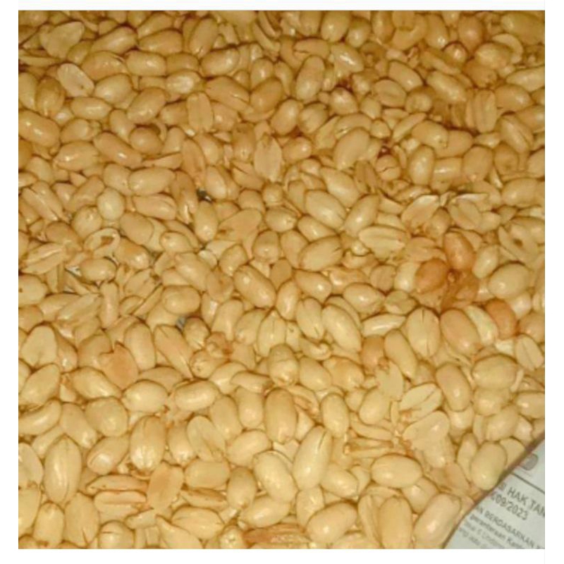 

kacang bawang berat ,500gr