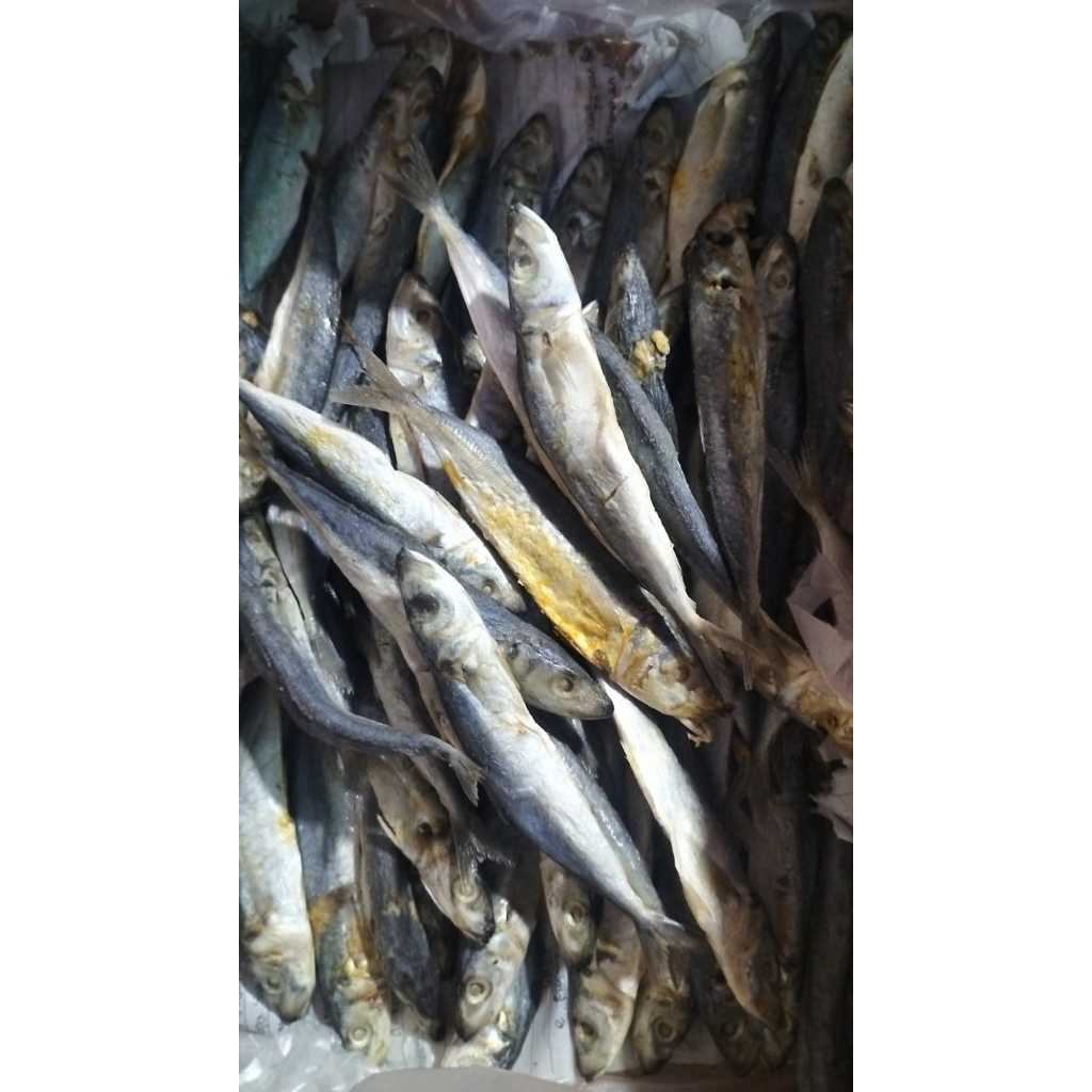 

IKAN ASIN PEDA PUTIH UKURAN KECIL PER 100 GR - IKAN ASIN PEDA BODAS - IKAN ASIN