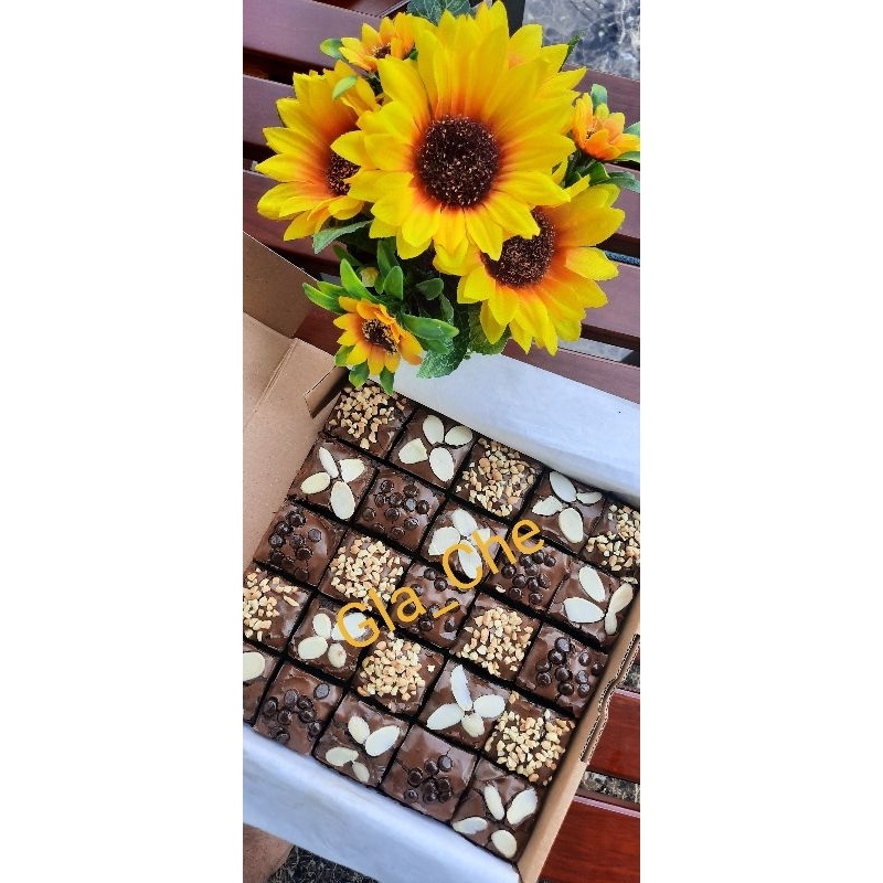 

BrowniesShinyCrustLarge20x20