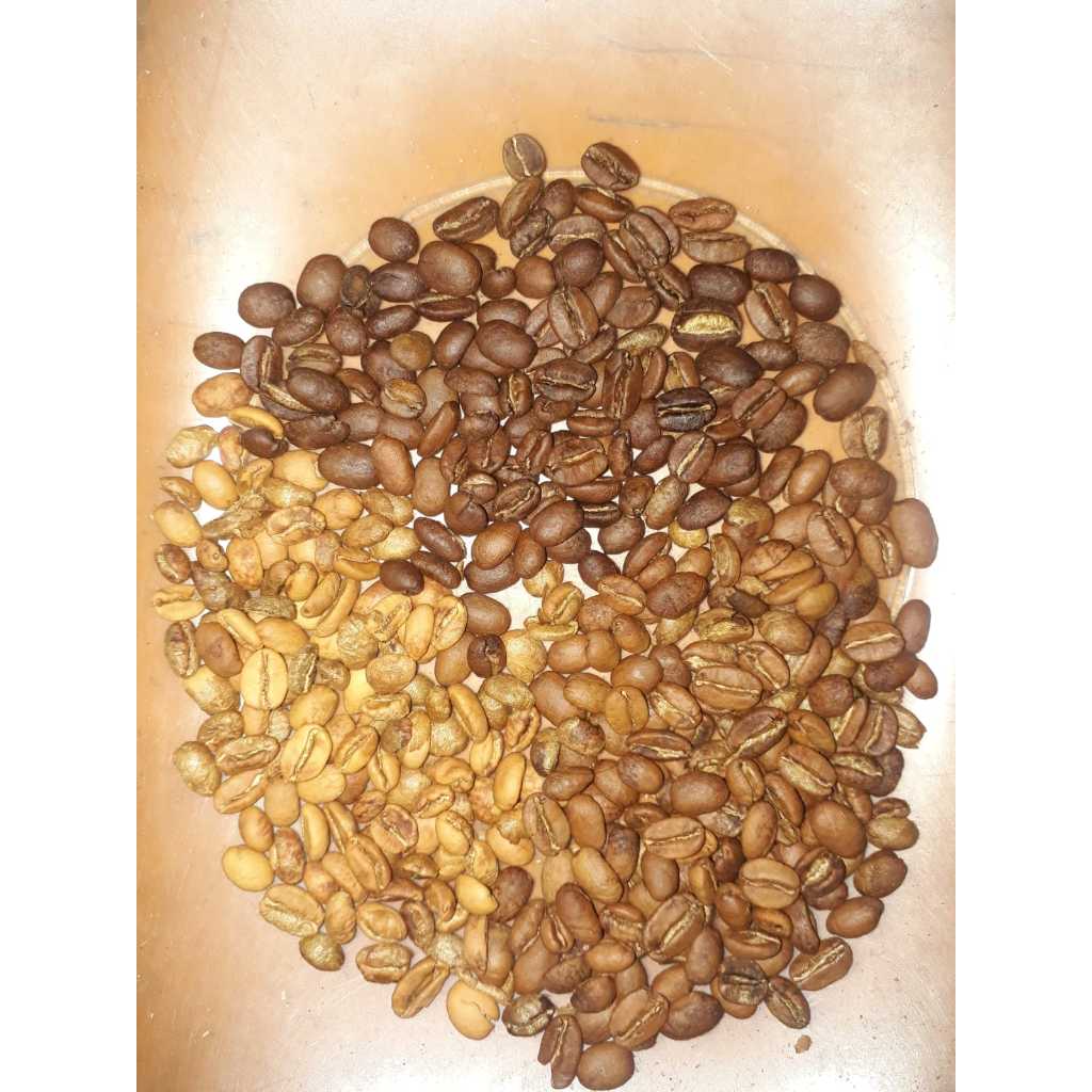

Njembling Arabica Luwak Liar Temanggung 100 gram