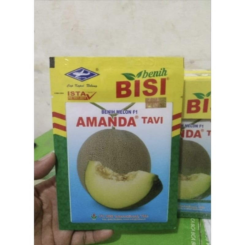 Benih Melon Amanda F1 - Benih melon kapal terbang bisi